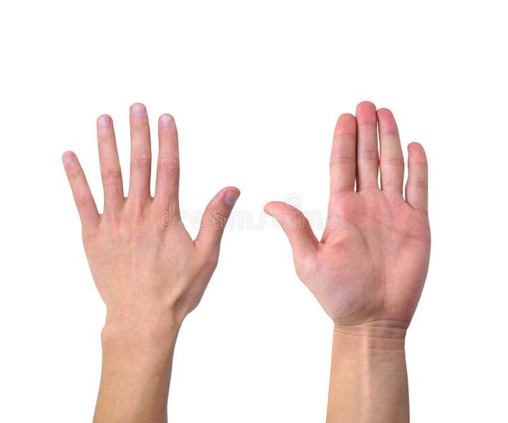 File:Human-Hands-Front-Back.jpg