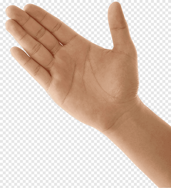 File:Right hand.png